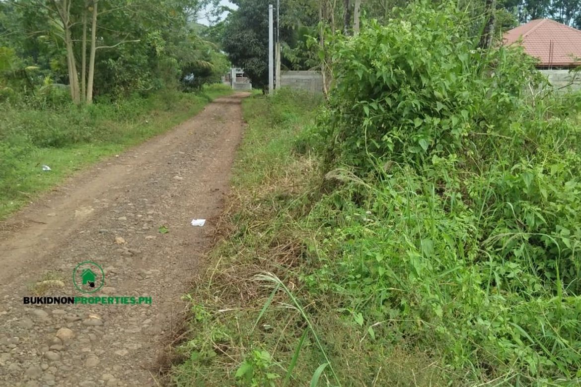 Land for Sale in Poblacion, Valencia, Bukidnon – photo 5