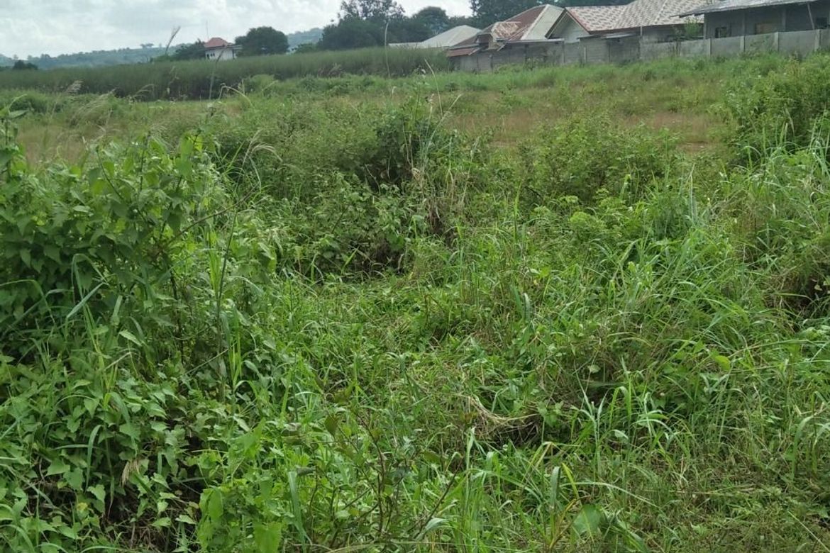Land for Sale in Poblacion, Valencia, Bukidnon – photo 6