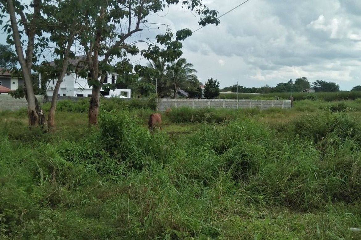 Land for Sale in Poblacion, Valencia, Bukidnon – photo 8