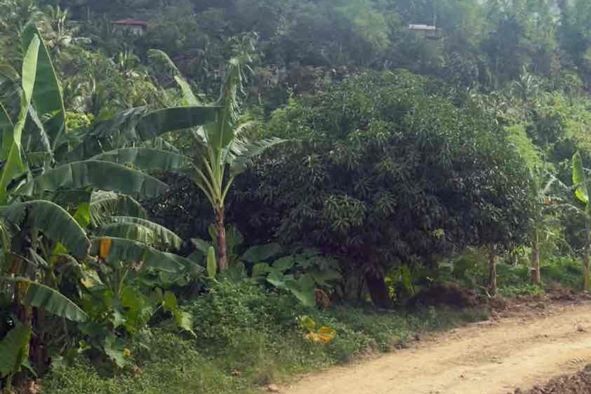 Land for Sale in Poblacion Ward III, Minglanilla, Cebu