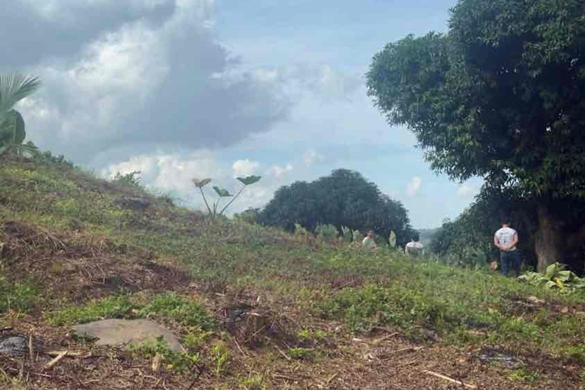 Land for Sale in Poblacion Ward III, Minglanilla, Cebu – photo 5