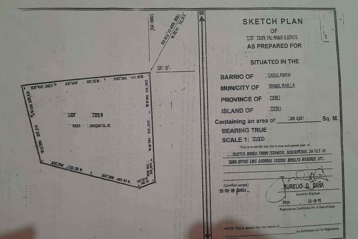 Land for Sale in Poblacion Ward III, Minglanilla, Cebu – photo 8