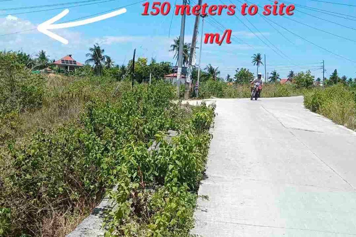 Land for Sale in Poblacion West, Moalboal, Cebu – photo 2