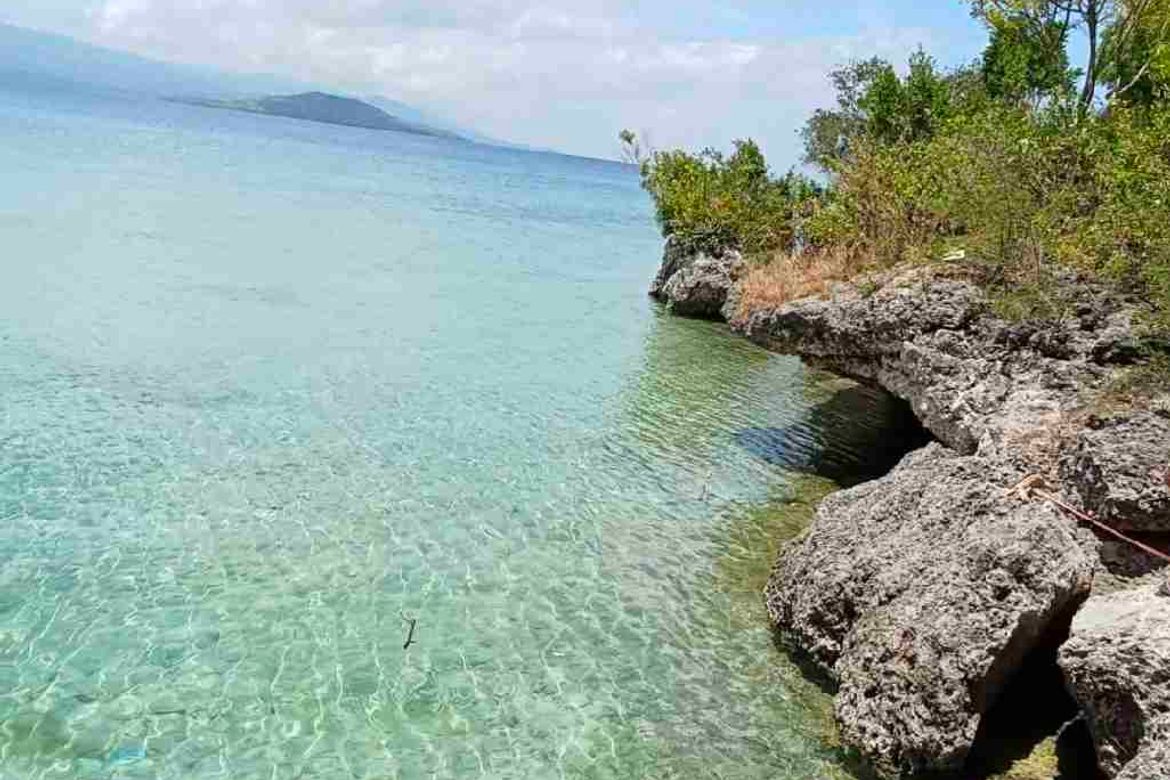 Land for Sale in Poblacion West, Moalboal, Cebu – photo 3