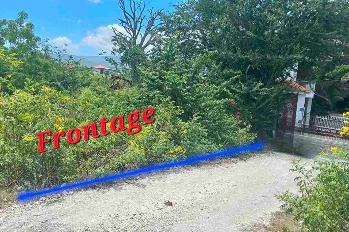 Land for Sale in Poblacion West, Moalboal, Cebu – photo 4