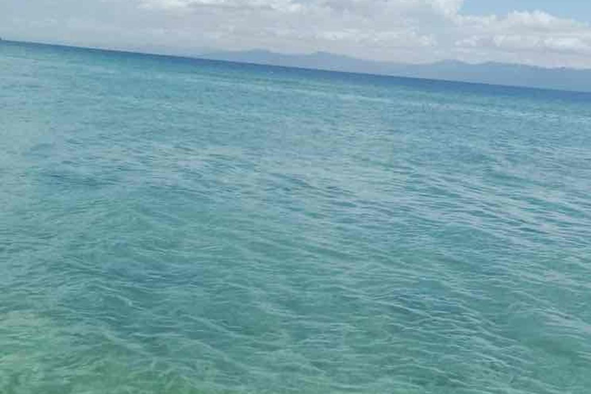 Land for Sale in Poblacion West, Moalboal, Cebu – photo 2