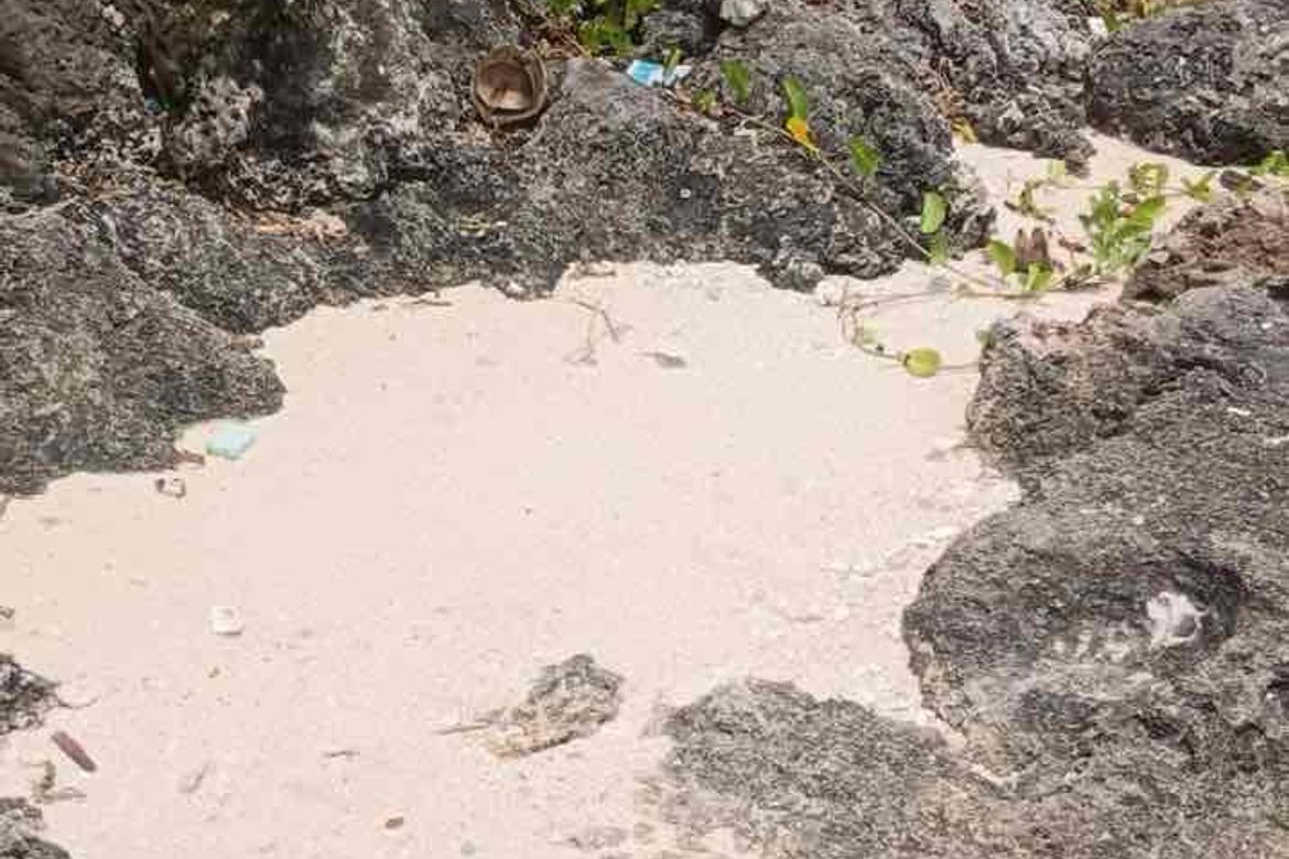 Land for Sale in Poblacion West, Moalboal, Cebu – photo 3