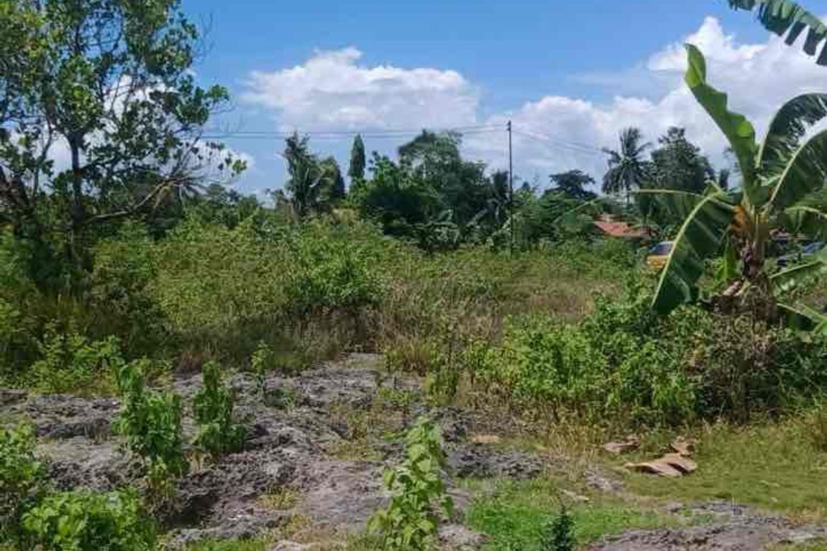 Land for Sale in Poblacion West, Moalboal, Cebu – photo 5