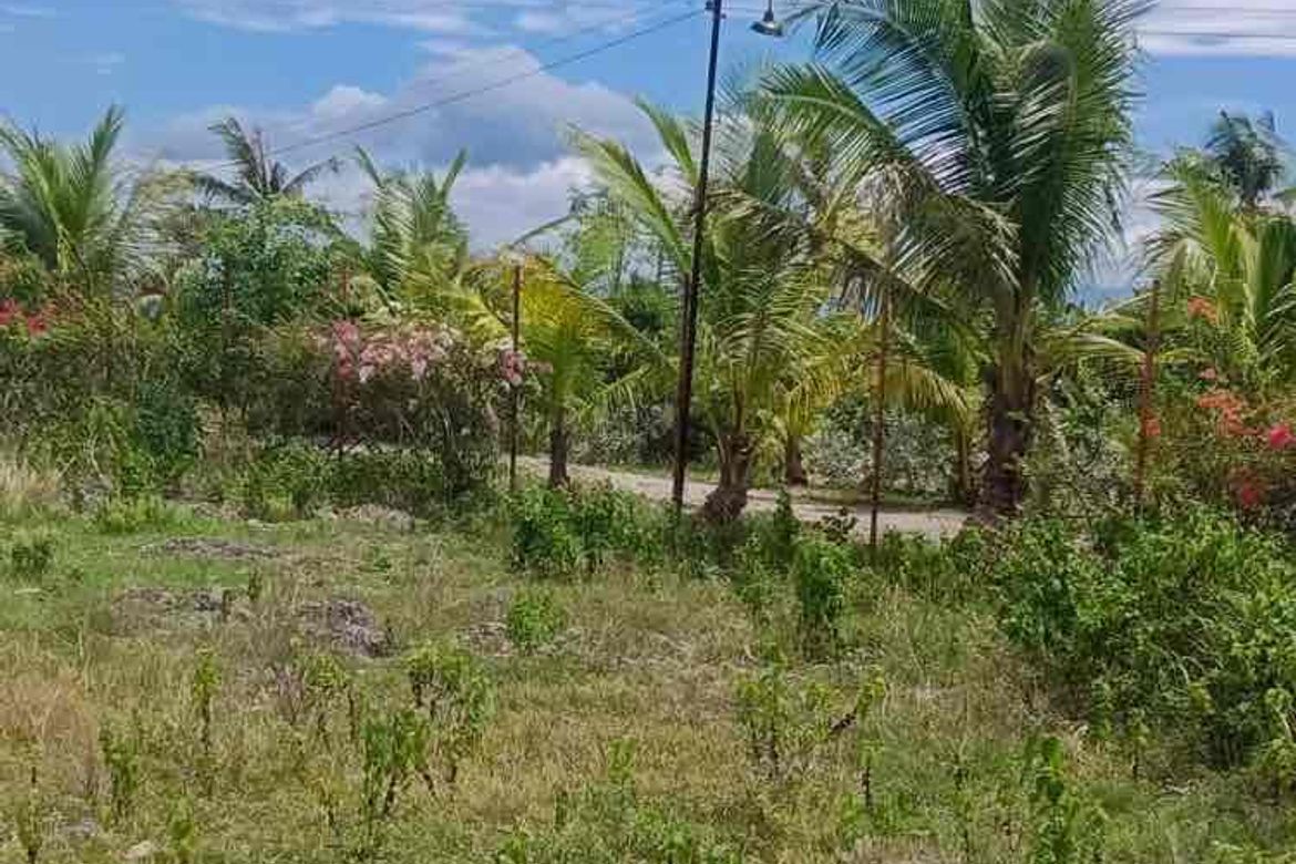 Land for Sale in Poblacion West, Moalboal, Cebu – photo 6