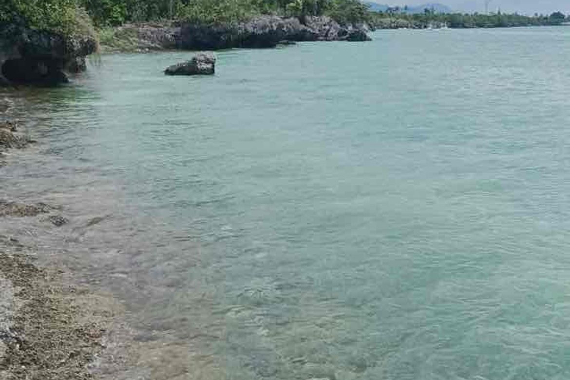 Land for Sale in Poblacion West, Moalboal, Cebu – photo 8