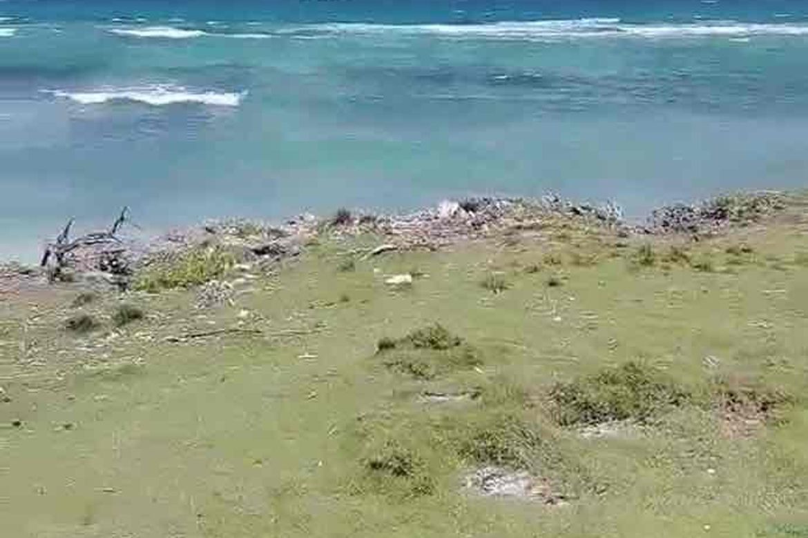 Land for Sale in Poblacion West, Moalboal, Cebu – photo 2