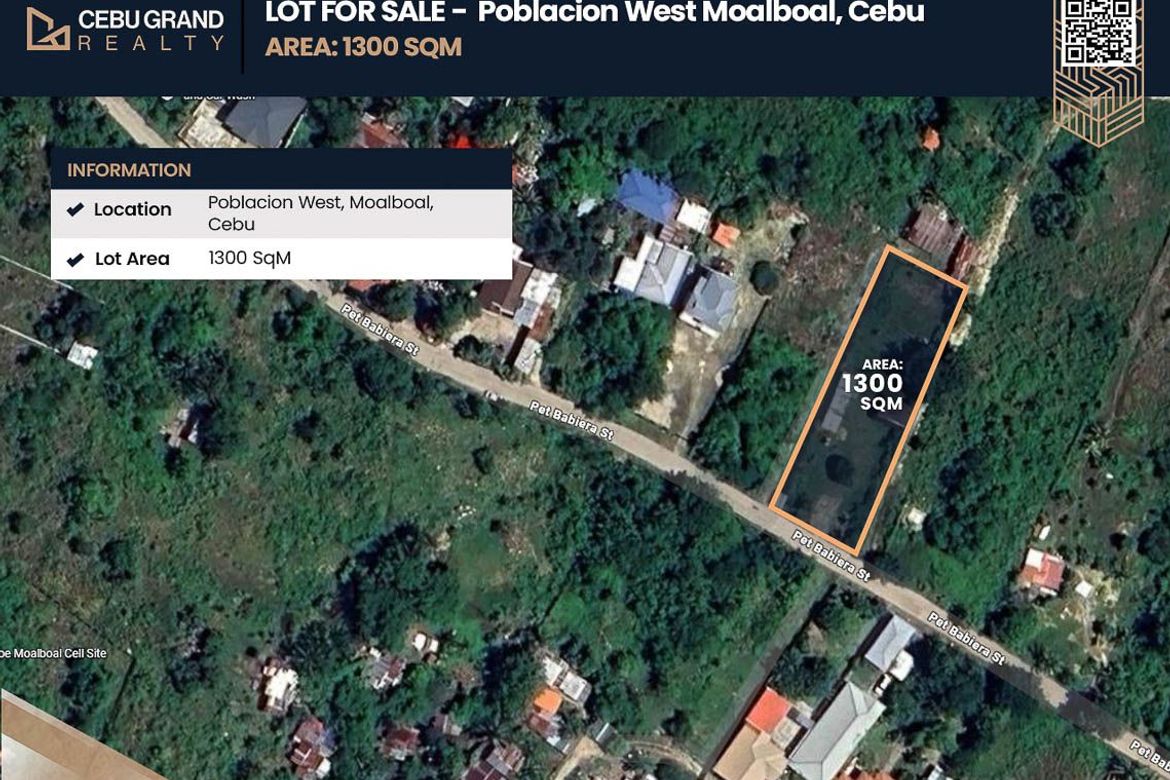 Land for Sale in Poblacion West, Moalboal, Cebu
