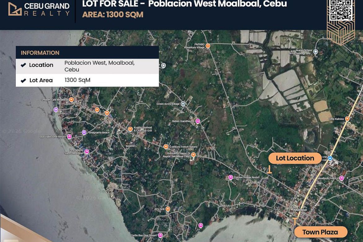 Land for Sale in Poblacion West, Moalboal, Cebu – photo 2