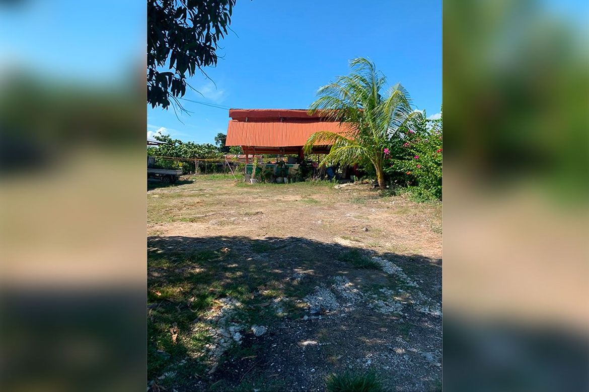 Land for Sale in Poblacion West, Moalboal, Cebu – photo 5