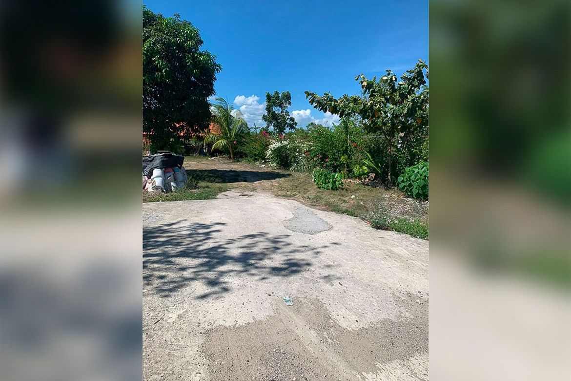 Land for Sale in Poblacion West, Moalboal, Cebu – photo 7