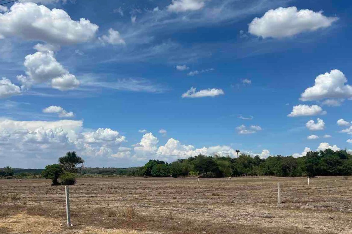 Land for Sale in Poblacion West, Santa Ignacia, Tarlac – photo 2