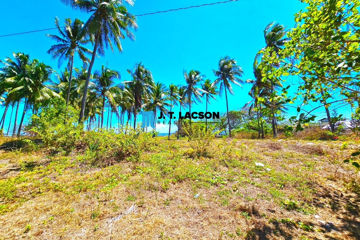 Land for Sale in Poblacion, Zamboanguita, Negros Oriental