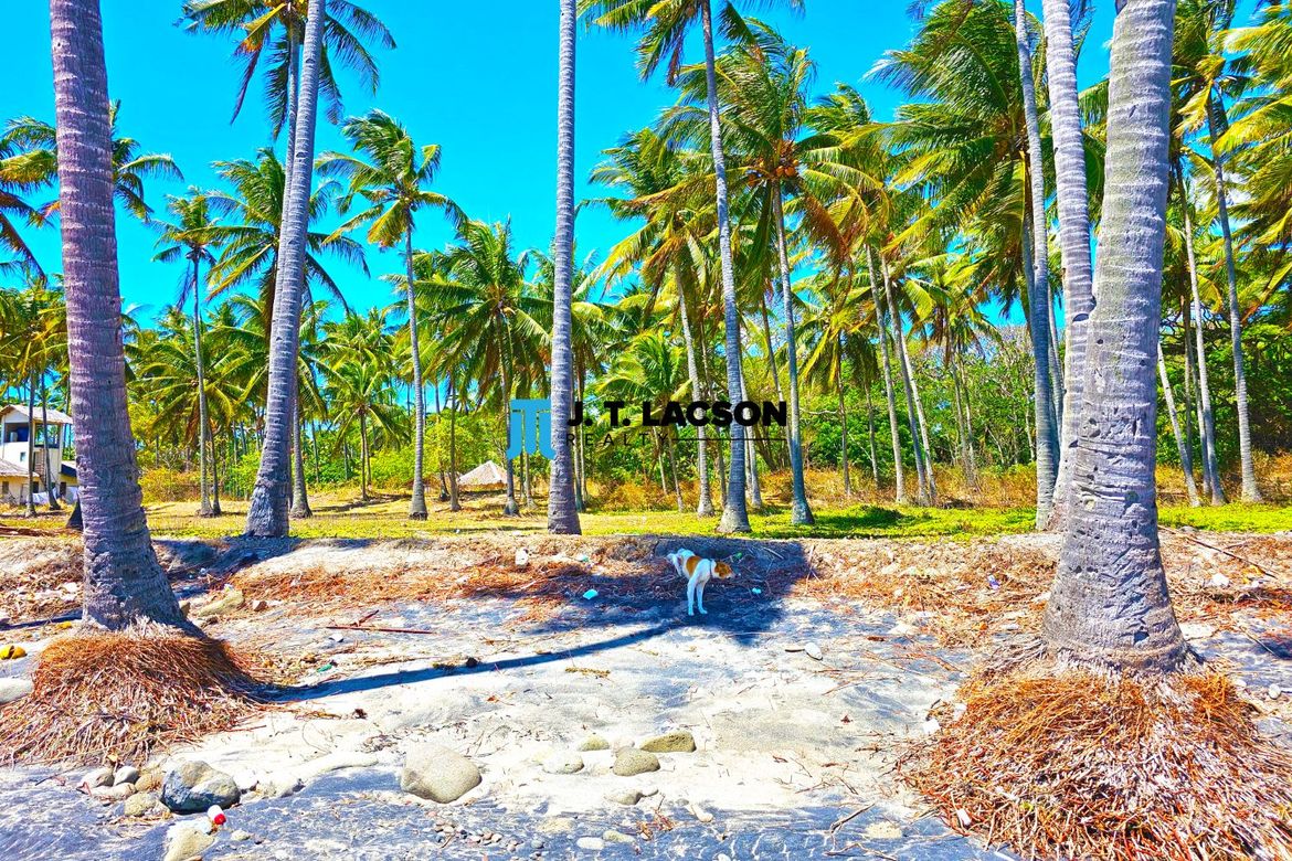Land for Sale in Poblacion, Zamboanguita, Negros Oriental – photo 8
