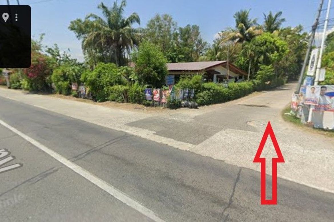 Land for Sale in Pogomboa, Aguilar, Pangasinan – photo 2