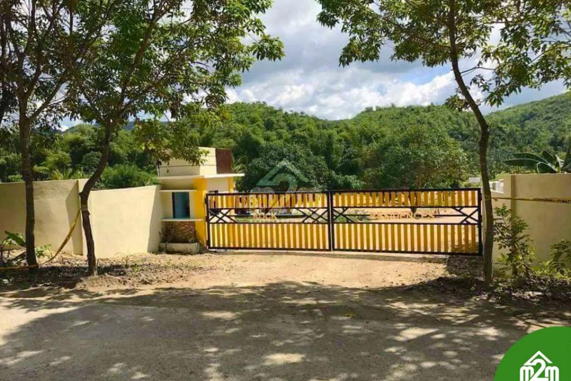 Land for Sale in Polog, Consolacion, Cebu – photo 2
