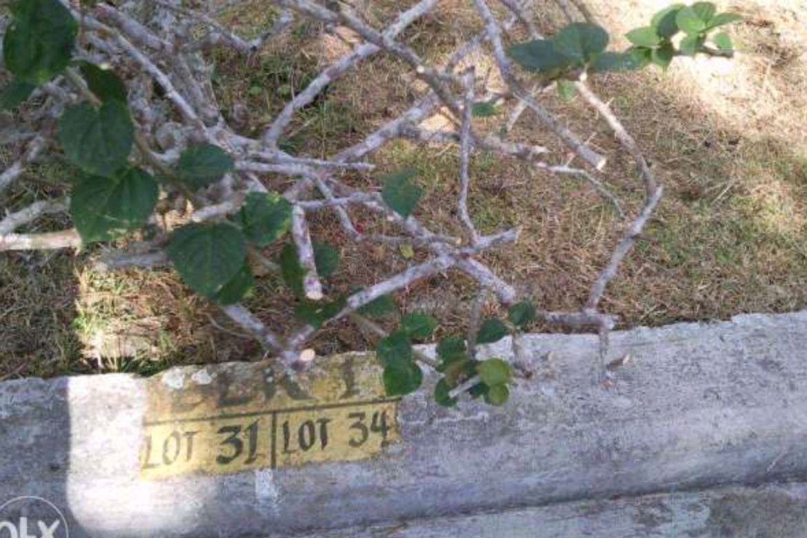 Land for Sale in Ponderosa Leisure Farms, Narra II, Silang, Cavite – photo 2