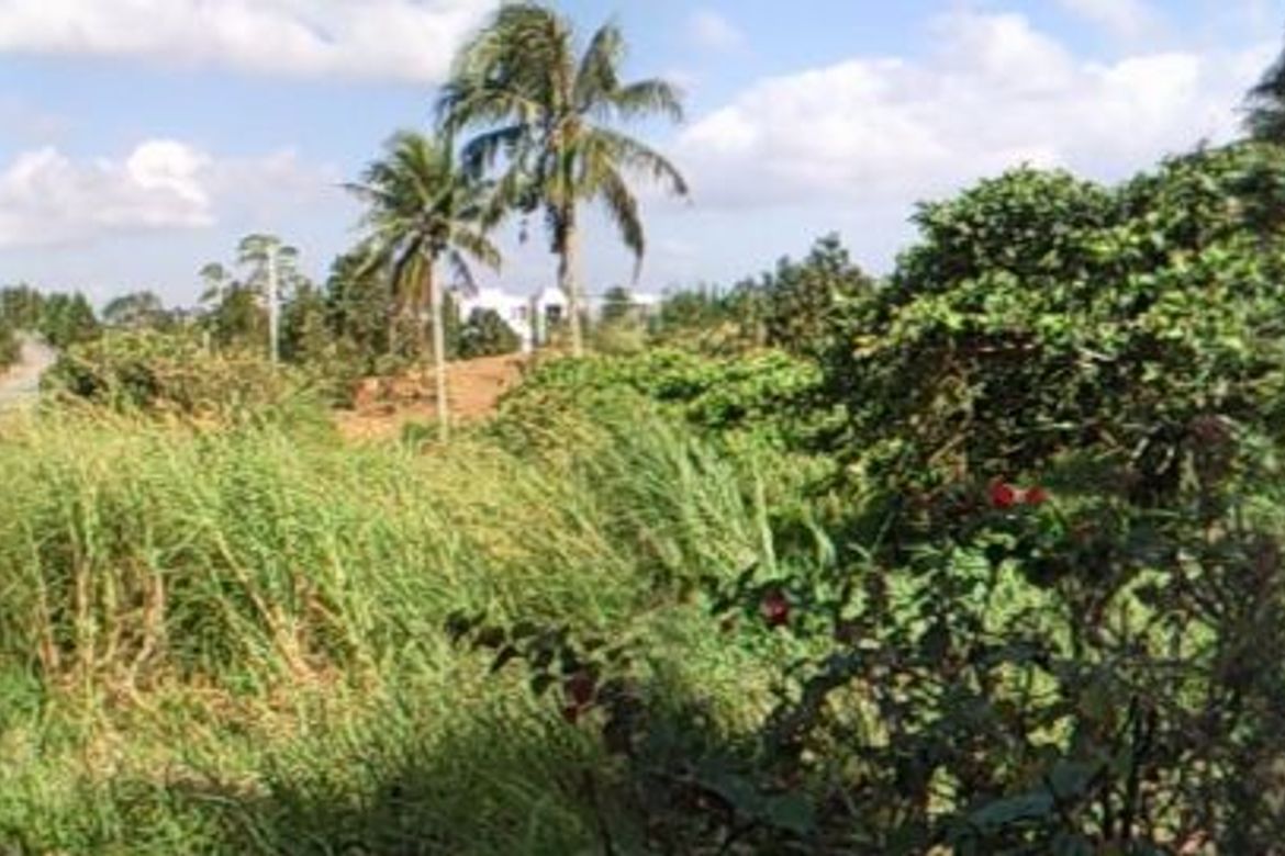 Land for Sale in Ponderosa Leisure Farms, Narra II, Silang, Cavite – photo 3