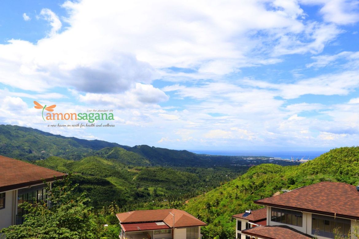 Land for Sale in Pondol, Balamban, Cebu