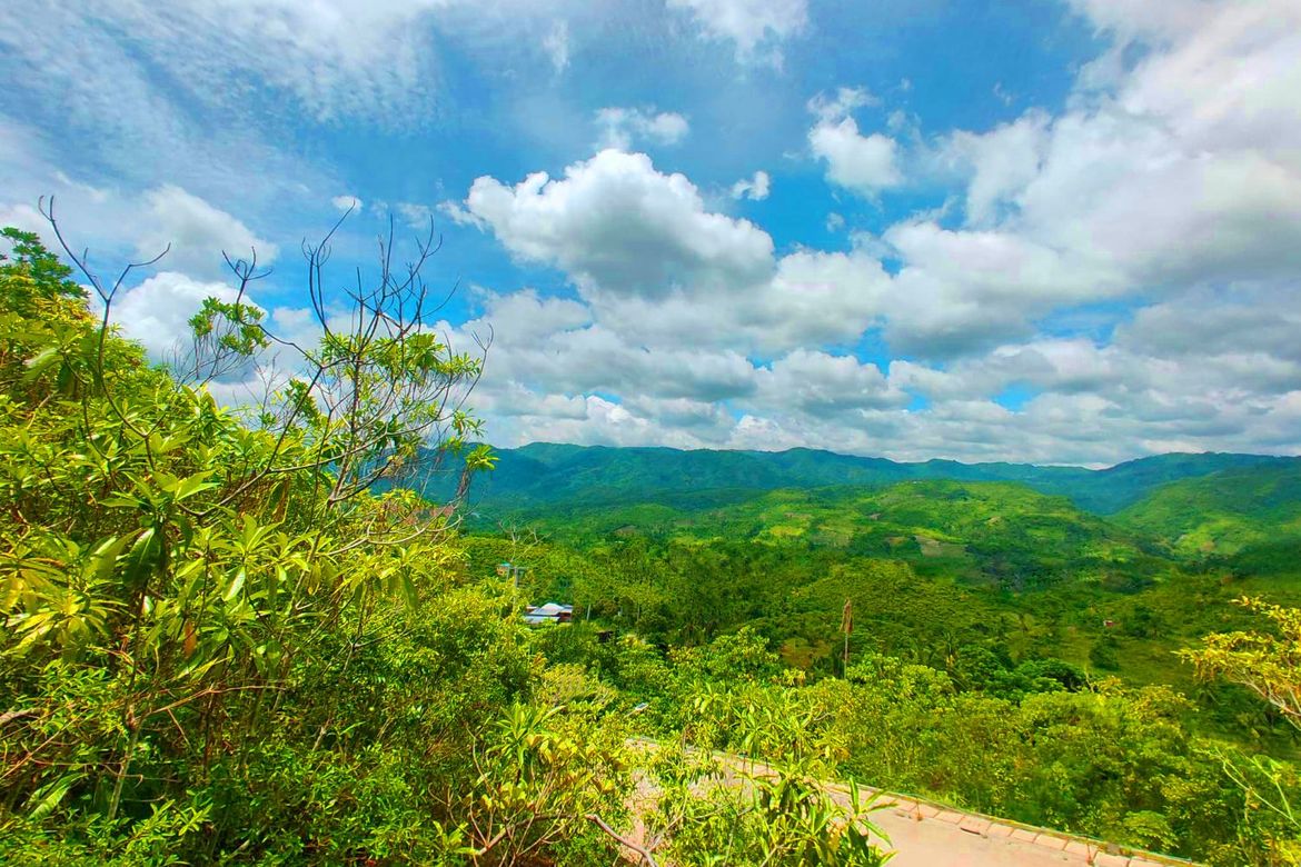 Land for Sale in Pondol, Balamban, Cebu – photo 7