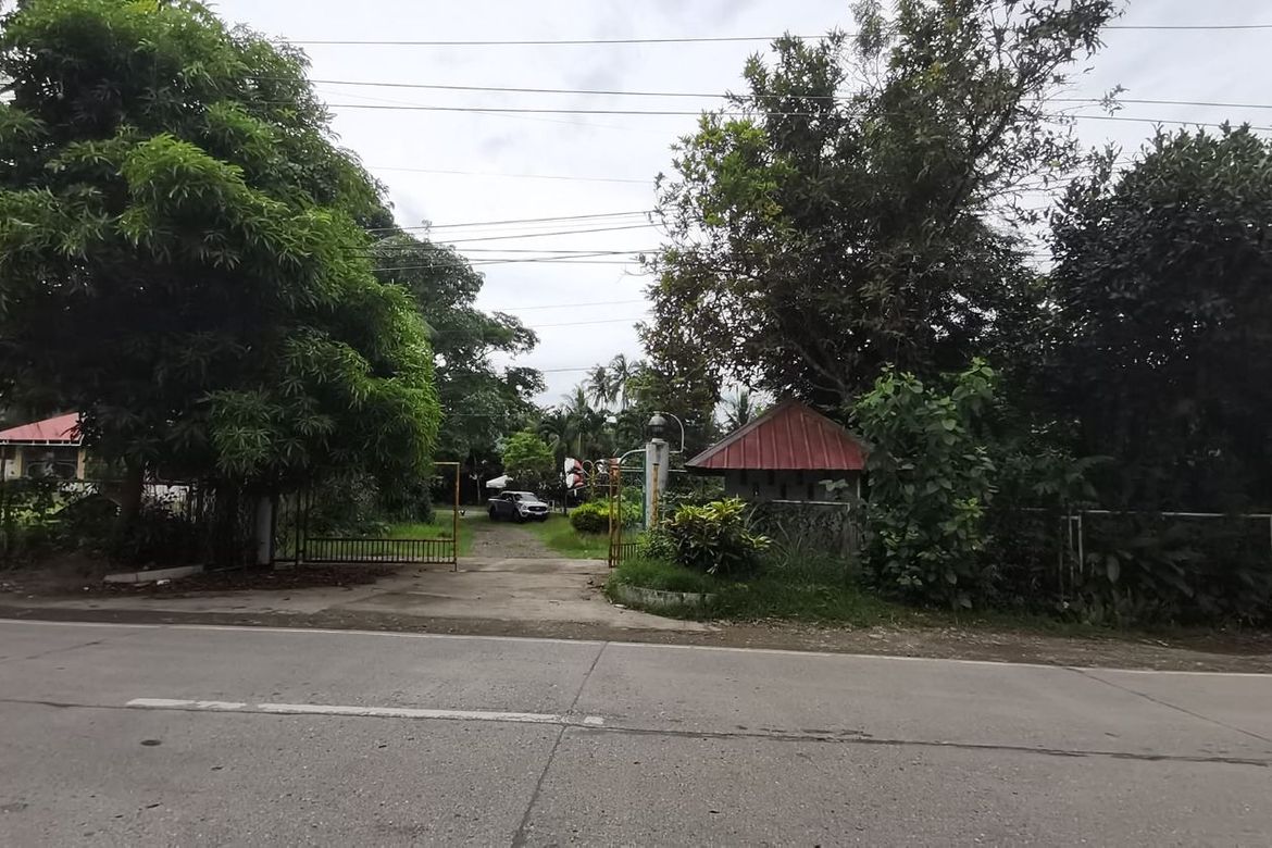 Land for Sale in Pondol, Balamban, Cebu – photo 4