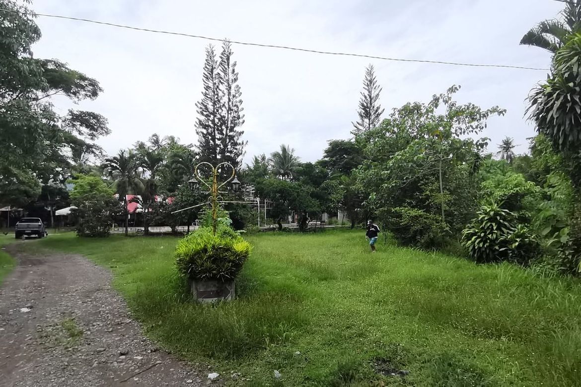 Land for Sale in Pondol, Balamban, Cebu – photo 7