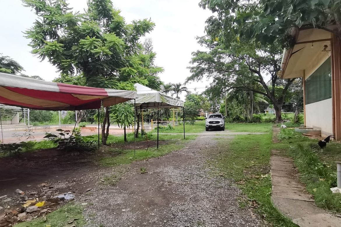 Land for Sale in Pondol, Balamban, Cebu – photo 8
