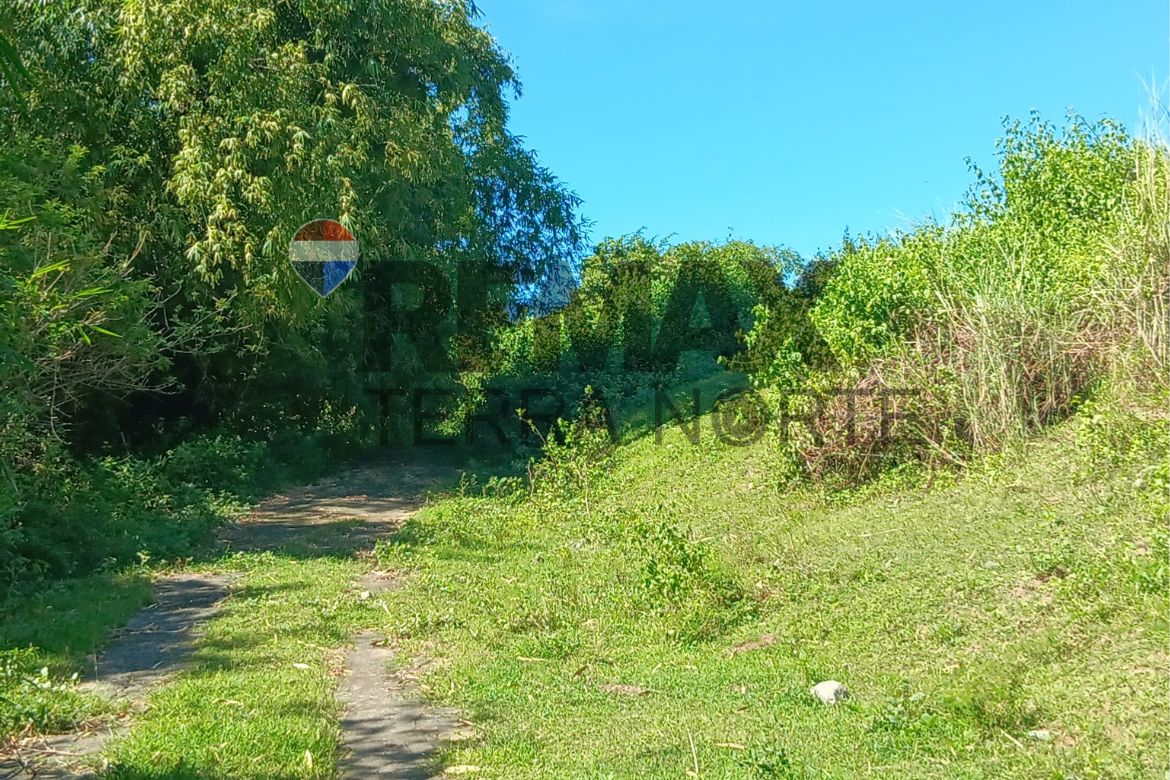 Land for Sale in Ponglo-Muelag, Mangatarem, Pangasinan