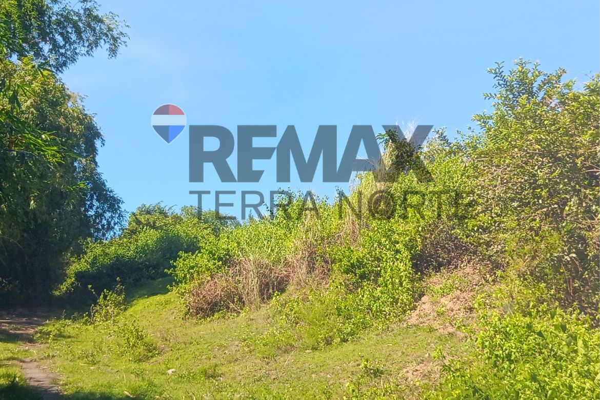 Land for Sale in Ponglo-Muelag, Mangatarem, Pangasinan – photo 2