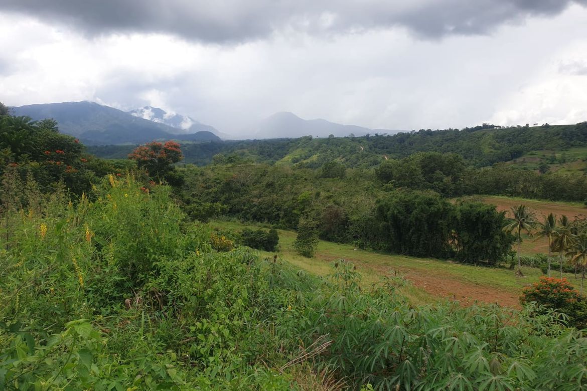 Land for Sale in Pongol, Libona, Bukidnon