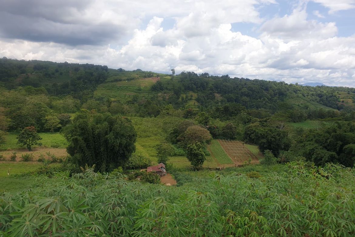 Land for Sale in Pongol, Libona, Bukidnon – photo 3