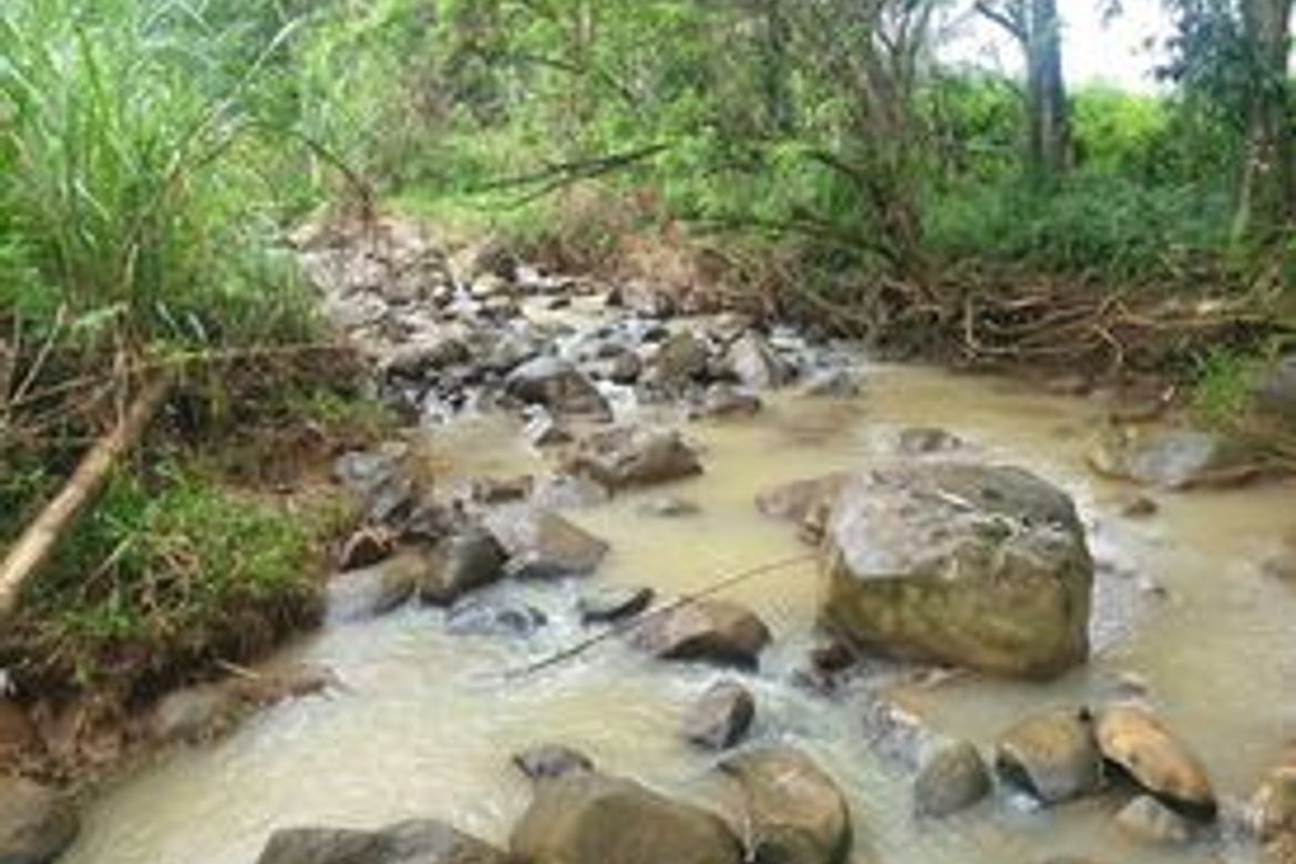 Land for Sale in Pongol, Libona, Bukidnon – photo 4