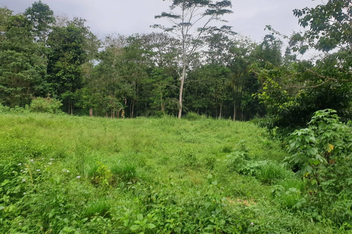 Land for Sale in Pongol, Libona, Bukidnon – photo 5