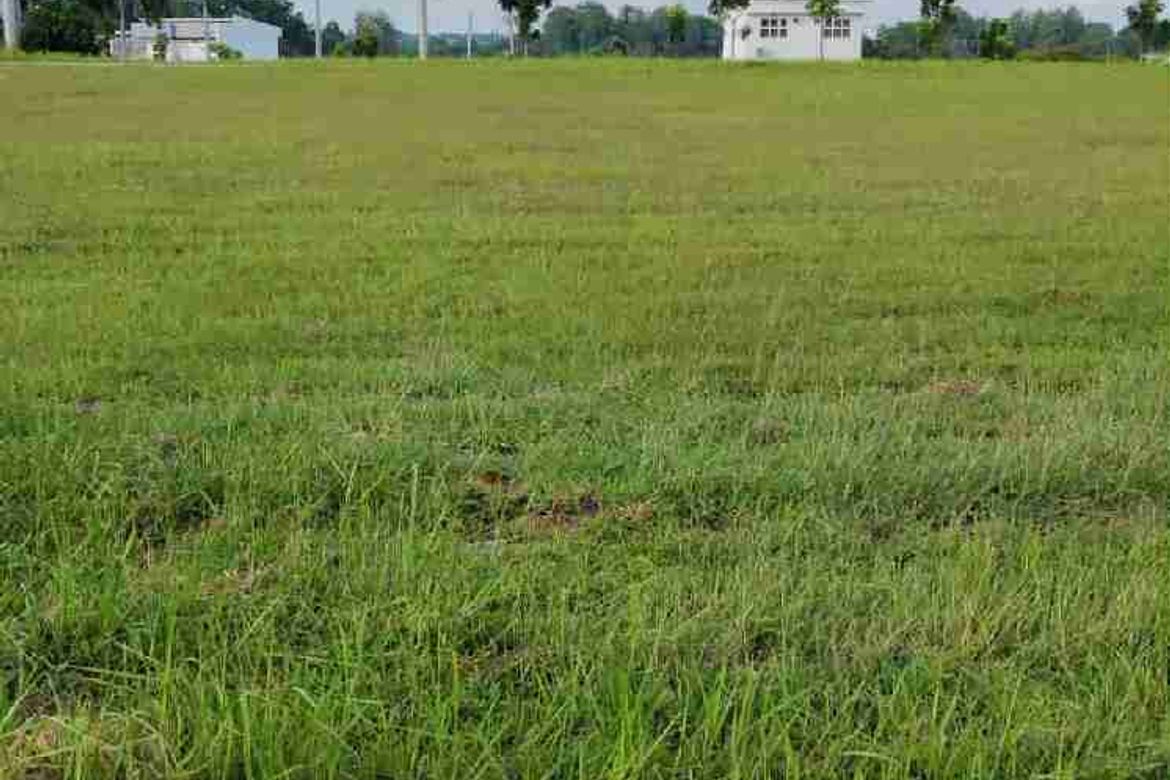 Land for Sale in Ponte Verde - Davao, Sasa, Davao City, Davao del Sur – photo 4