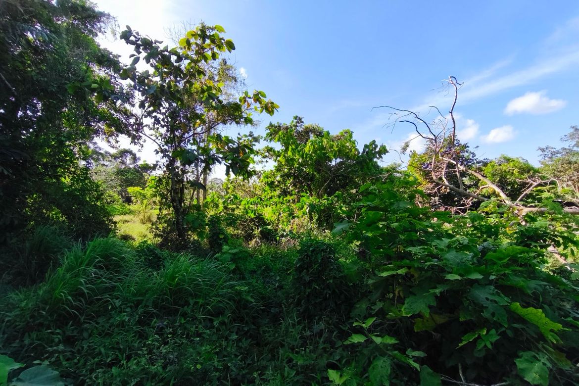 Land for Sale in Pooc II, Silang, Cavite – photo 2