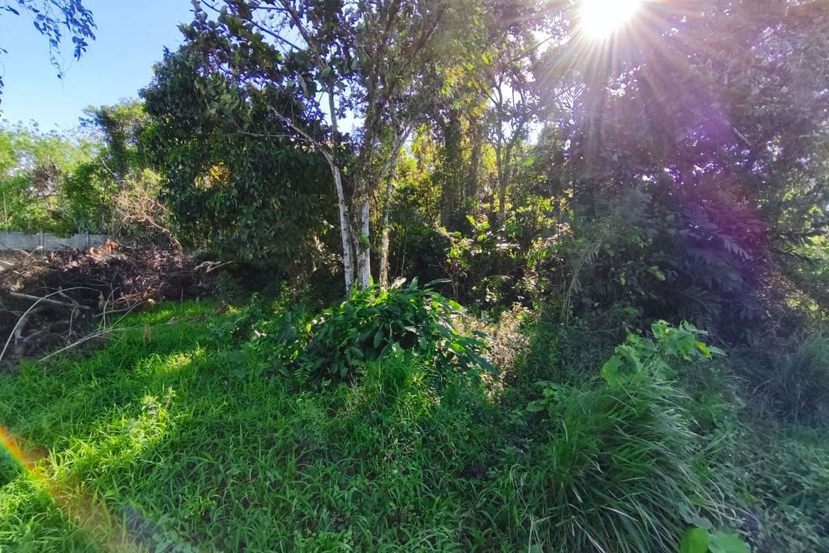 Land for Sale in Pooc II, Silang, Cavite – photo 8