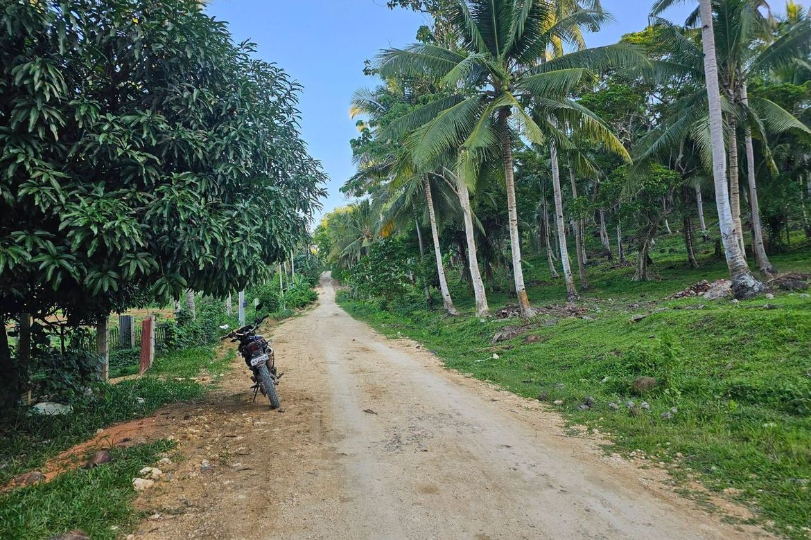 Land for Sale in Pooc Occidental, Tubigon, Bohol