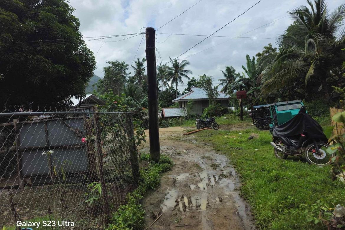 Land for Sale in Pooc Occidental, Tubigon, Bohol – photo 3