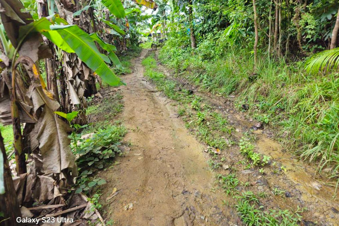 Land for Sale in Pooc Occidental, Tubigon, Bohol – photo 4