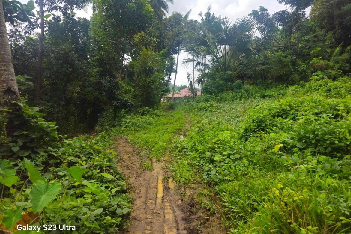 Land for Sale in Pooc Occidental, Tubigon, Bohol – photo 5