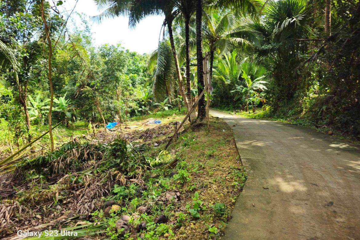 Land for Sale in Pooc Occidental, Tubigon, Bohol – photo 7