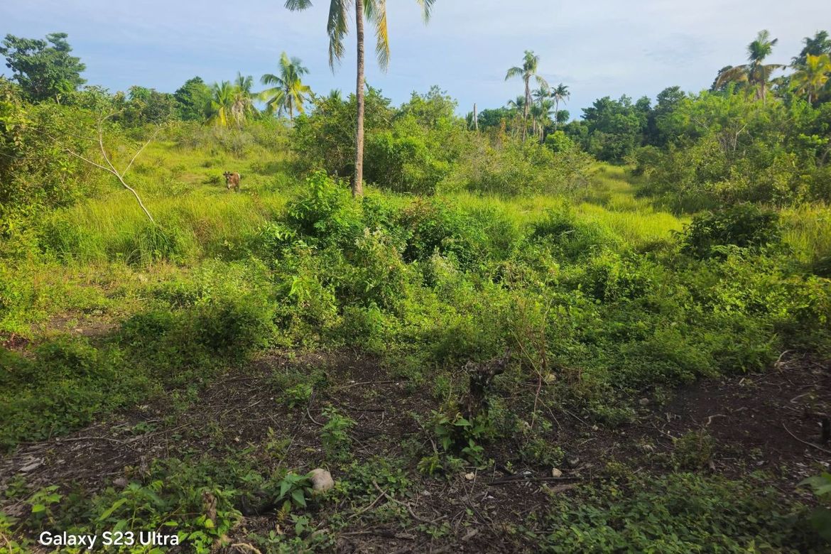 Land for Sale in Pooc Occidental, Tubigon, Bohol – photo 8