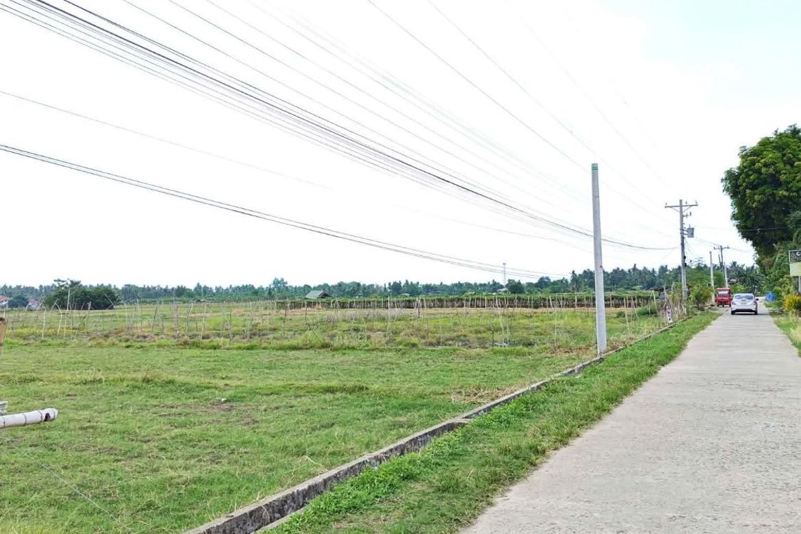 Land for Sale in Pooc Occidental, Tubigon, Bohol – photo 2