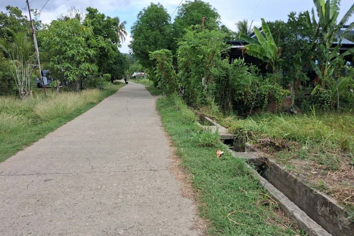 Land for Sale in Pooc Occidental, Tubigon, Bohol – photo 6