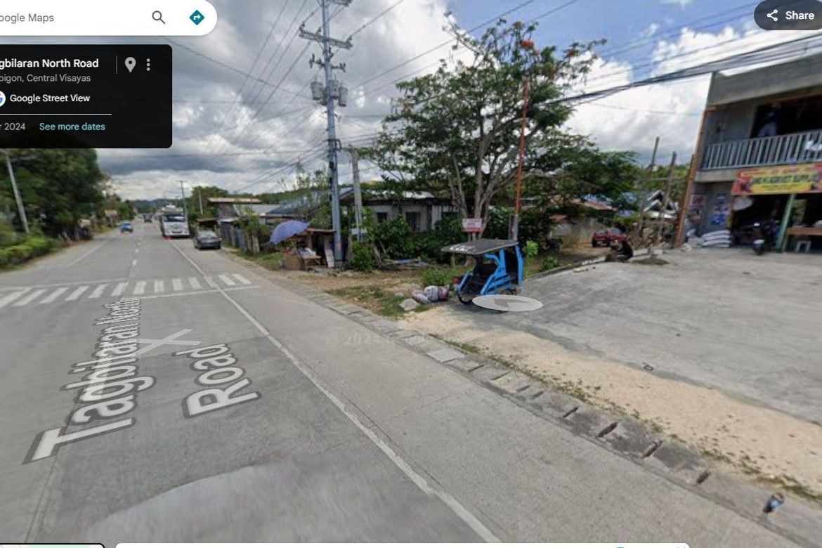 Land for Sale in Pooc Occidental, Tubigon, Bohol – photo 3