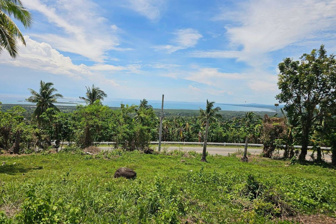 Land for Sale in Pooc Occidental, Tubigon, Bohol